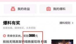 爆料有奖励视频吗,视频曝光背后的丰厚回报