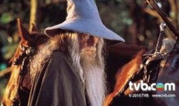 魔戒现身在线观看,在线观看，探寻中土世界的奇幻之旅