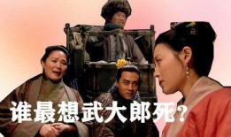 金青梅完整版在线观看,穿越时空的奇幻之旅