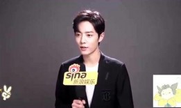 肖战采访爆料视频大全集,揭秘明星背后的真实故事与心路历程