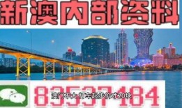 澳门最新爆料网站,揭秘幕后真相，独家揭秘事件内幕