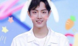 肖战采访爆料视频大全集,揭秘明星背后的真实故事与心路历程