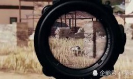 和平精英最新五级特效枪爆料,炫酷外观，性能升级，战力再攀高峰！