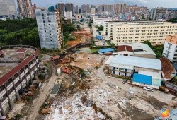 博白最新爆料,揭秘背后惊人真相