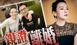 刘大锤最新爆料盘点视频,盘点最新爆料视频精彩瞬间