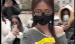 香港吃瓜爆料视频大全,揭秘娱乐圈幕后真相