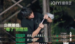 陈少熙失恋爆料视频,揭秘情感纠葛背后的真相