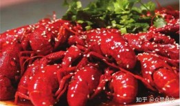 龙虾最新爆料视频下载,幕后真相大起底！