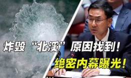 北溪爆料真相揭秘视频,揭秘幕后黑手与真实动机