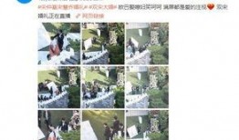 圈内小妖的爆料,揭秘娱乐圈不为人知的幕后故事