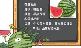 开福吃瓜小说免费阅读,揭秘小说世界里的那些事儿