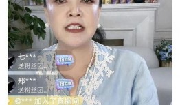 张兰爆料吸毒视频,真相与争议并存