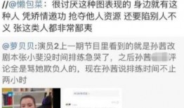 张小斐黑料爆料视频大全,视频大全背后的真相与争议