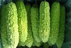 南宁微信吃瓜群免费吗,免费畅享热门资讯，轻松加入共享快乐