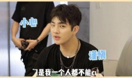 圈内记者爆料明星是谁,神秘明星身份揭晓，引发网友热议