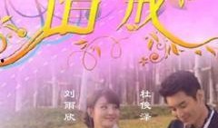 情诫电视剧在线观看,穿越时空的深情告白