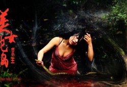 蛇岛电影在线观看